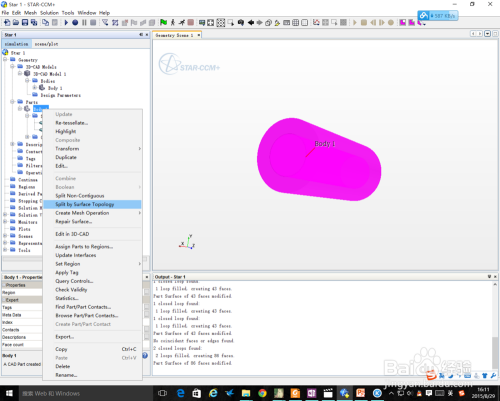 Star-CCM+提取流体域教程的图8